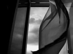 [도일희도]Toxin - 5