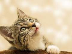 [랩홉] 길러줘요 08