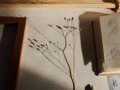 여덟 명에게 쓰는 편지