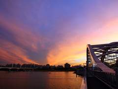 [국민] 우리, 보라. 6