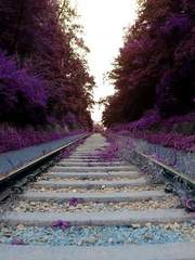 자색 행성의 지도.