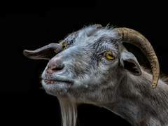 매 순간이 기적이라네