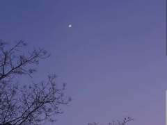 [달국X여난] 학교에서.