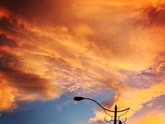 [달국X여난] 야자.