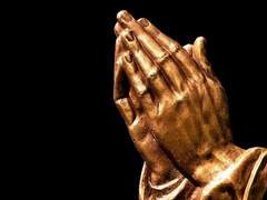 [우시시라] Dogma 3