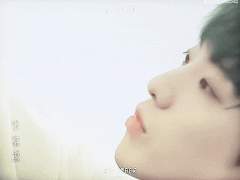 마타도어 로즈_Matador Rose 16.