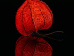 [현제유진태원+황림]우리 유진이 너무 가벼워서 큰일이다