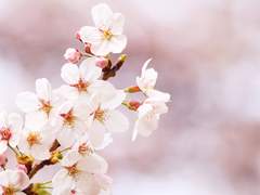 [ 영진무진 / 영석무진 ] 천년의 시간