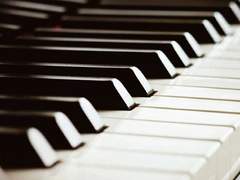 [민국사부] 낙원인지, 집인지 모를.