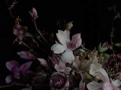 사랑할 때마다 꽃을 토합니다