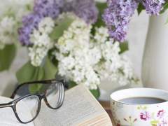 리시언더스 Lisianthus