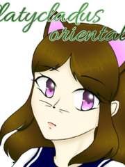 [가히리/리본] Platycladus orientalis(측백나무)