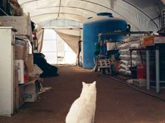 2. 그런데, 장마는 언제 시작되지요