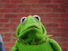 꽃이 시들었어로 짧은 글 쓰기