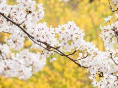 퍼스널컬러 이론