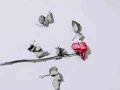 기침과, 가난과, 사랑은, #13