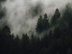 웨이란: 아란, 머리카락을 내려 줘! 上