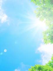 [해리포터] High school students