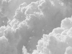 하비비가 석고대죄하는 글