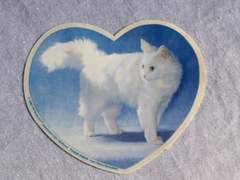 다시 시작하는 포스타입