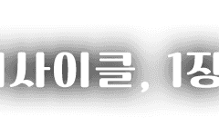 심플 인세인 롤20 장면 라벨 배포