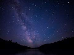 [알베케일] 선물