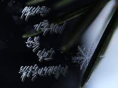 달의하루, 염라