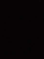 잭나이브 단편글 감기