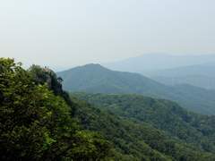 기들전자 개발 1팀 - 5