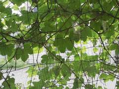 짧은 토끼용 썰들