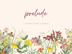 멜키레이 | Prelude