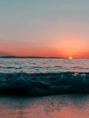 그 아이가 살아남는 방법