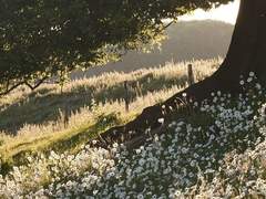 서로에게 완전히 스며들 때까지