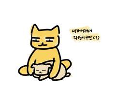 나이 많은 동생은 처음이라