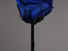 권대현에 대하여