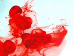 [최윤화평] 낙원 6