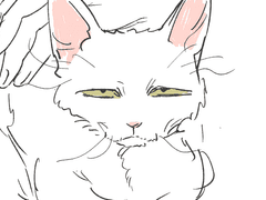 에메트셀크 낙서 46+α (5.0, 칠흑 비화 스포 포함)