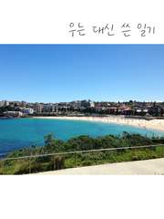 우는 대신 쓴 일기