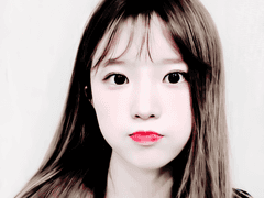 송하영 백지헌 장규리 박지원