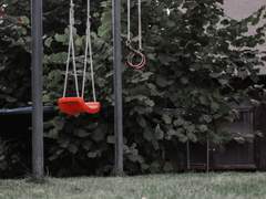 디어마이스네이크