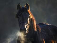 터져나온 속마음