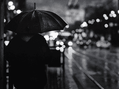 비오는 날