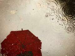 이스케이프(Escape)