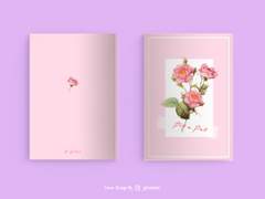 [이와오이+마츠하나] Pit a pat