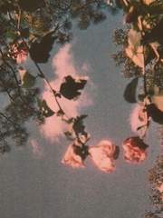 치즈 초코 나초