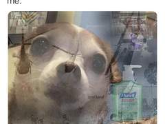 코로나는 언제 끝나냐면