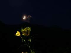 기침과, 가난과, 사랑은, #14