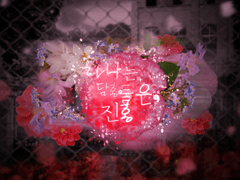 하나는 담홍, 둘은 진홍