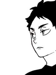 야생의 올빼미를 함부로 줍지 마세요