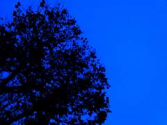 [백업] 바다와 하늘